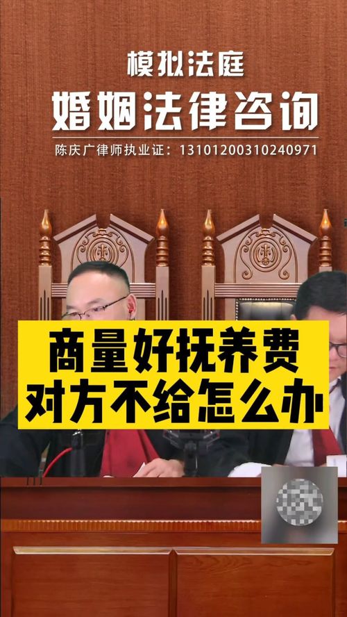 撫養費協商后對方拒不支付，法律途徑如何維權？