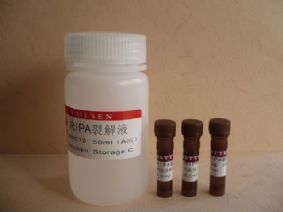 供應CAS:1188-37-0,N-乙酰-L-谷氨酸報價25克 1公斤 100克(sigma,TCI)-產品展示-卡邁舒生物技術(上海)