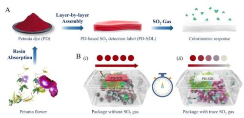 天津科技大學(xué)團(tuán)隊(duì)研制so2比色檢測標(biāo)簽,助力破解微生物侵染食物難題