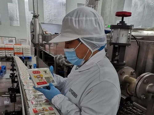 一塊豆腐的上海漂流記 L-脯氨酸的生產(chǎn)奧秘